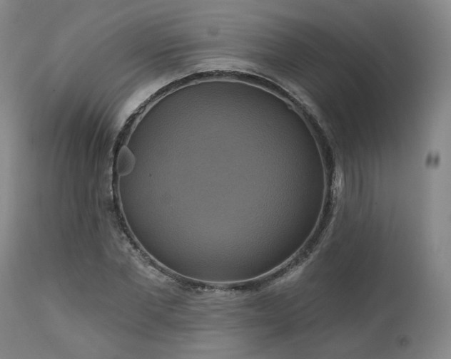 X0000113050877200908271528