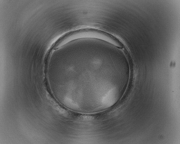 X0000113050878200908271528