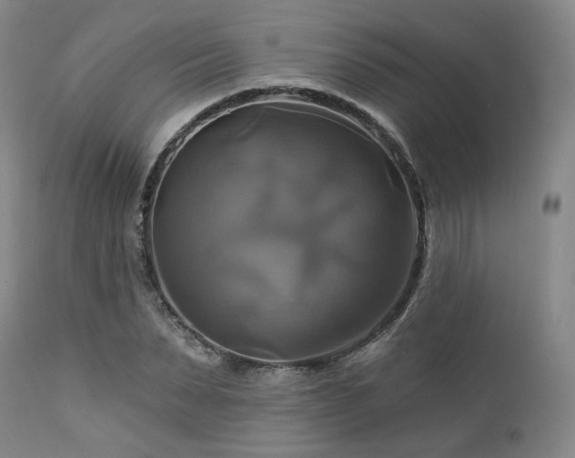 X0000113050879200908271528