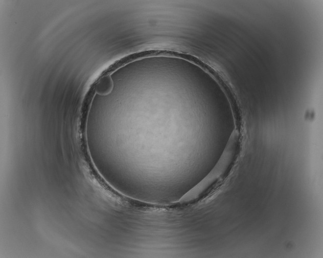 X0000113050880200908271528