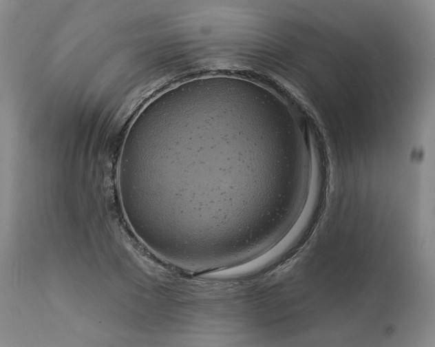 X0000113050881200908271528