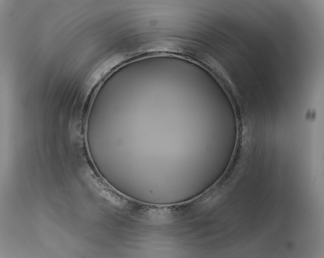 X0000113050882200908271528