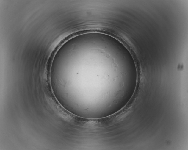 X0000113050883200908271528