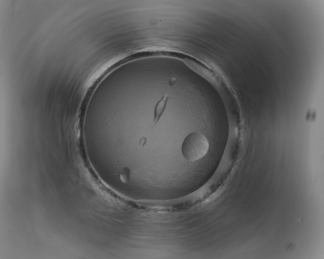 X0000113050885200908271528