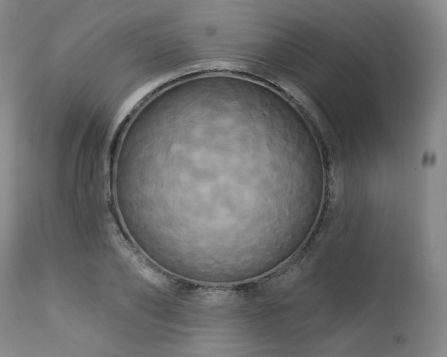 X0000113050886200908271528