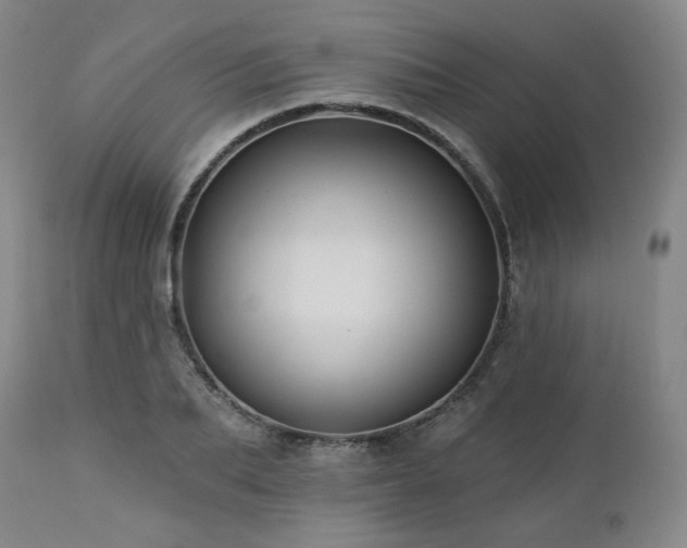 X0000113050887200908271528