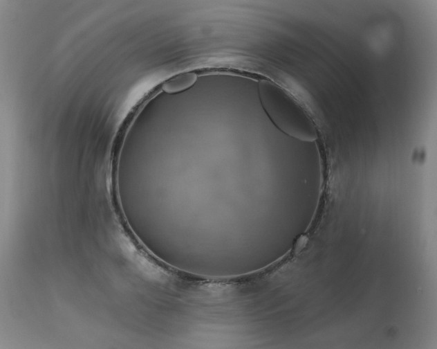 X0000113050888200908271528