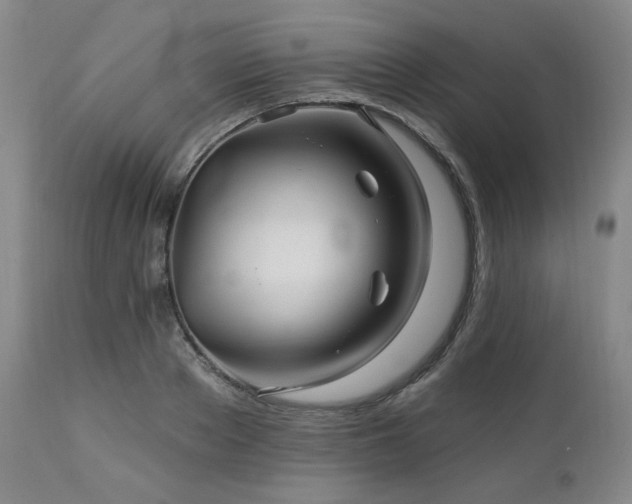 X0000113050889200908271528