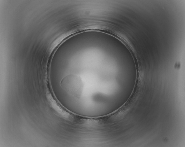 X0000113050890200908271528