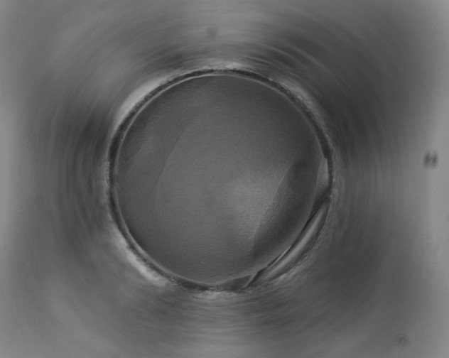 X0000113050894200908271528