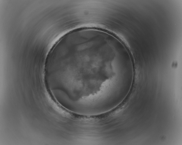X0000113050895200908271528