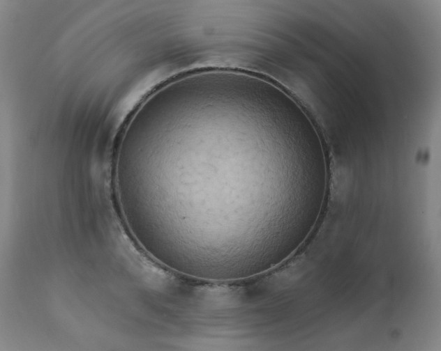 X0000113050896200908271528