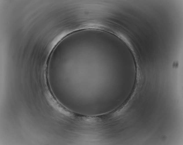 X0000113050899200908271528