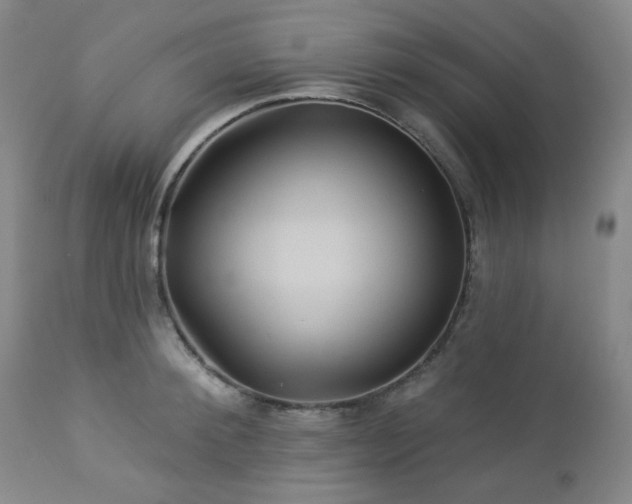 X0000113050900200908271528