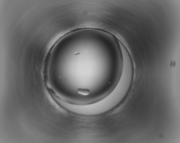 X0000113050901200908271528