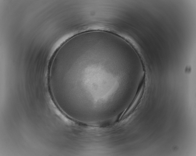 X0000113050902200908271528