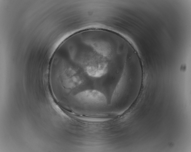 X0000113050903200908271528