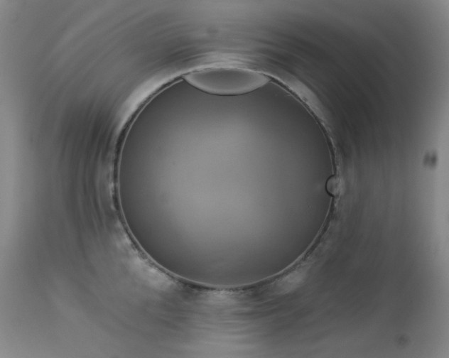 X0000113050904200908271528