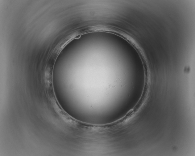 X0000113050905200908271528