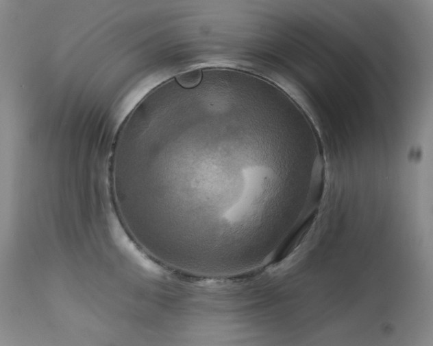 X0000113050906200908271528