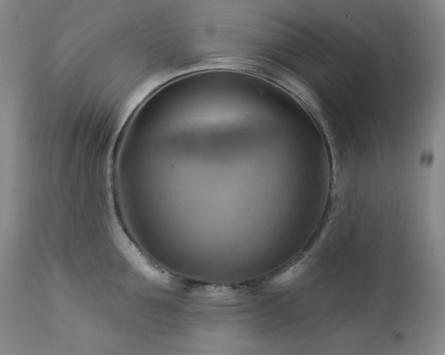 X0000113050907200908271528
