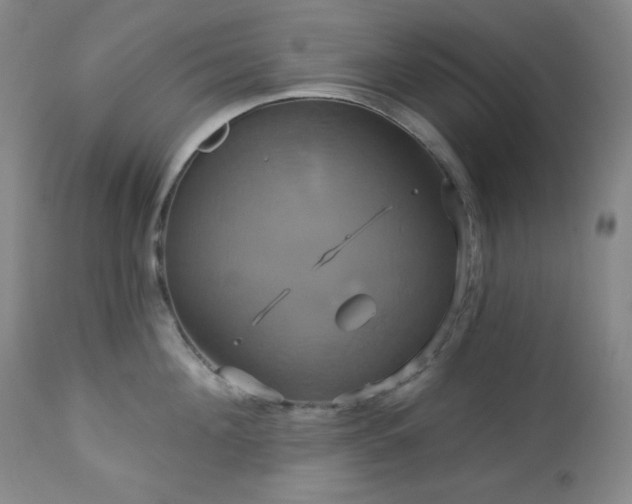 X0000113050908200908271528