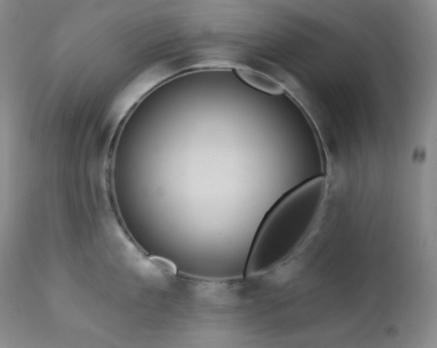X0000113050909200908271528