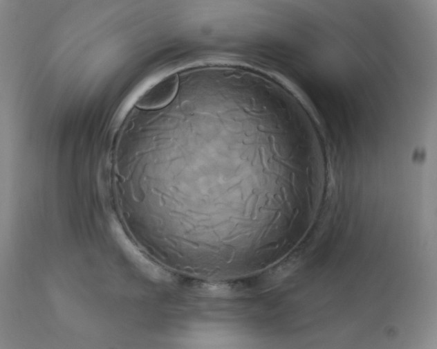 X0000113050911200908271527