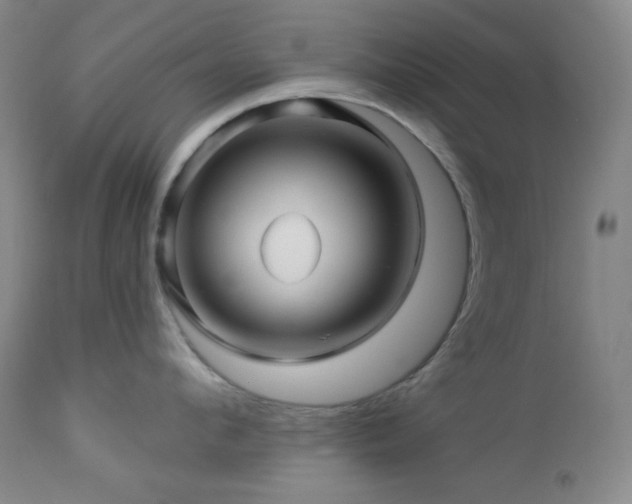 X0000113050912200908271527