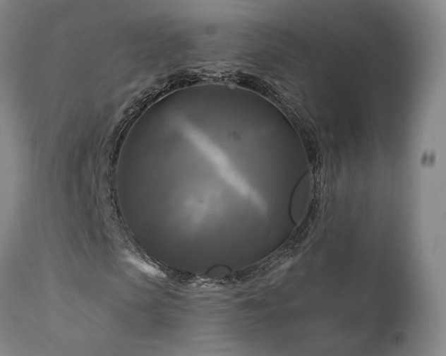 X0000113050913200908271527