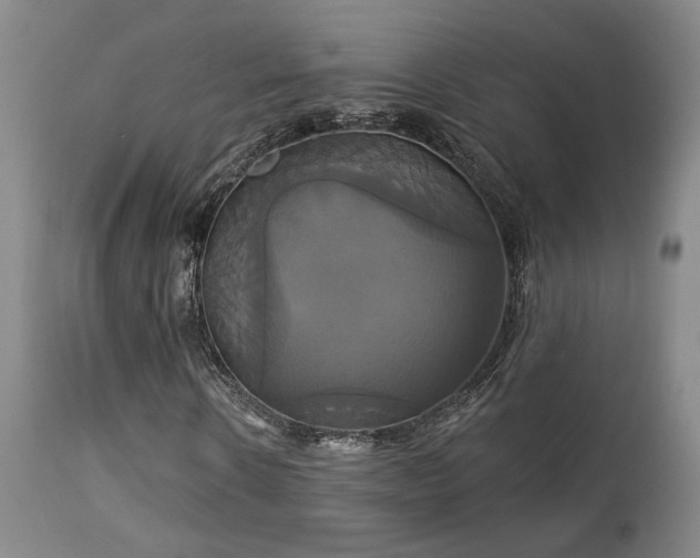 X0000113050914200908271527