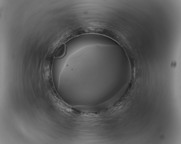 X0000113050915200908271527
