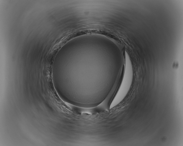 X0000113050916200908271527
