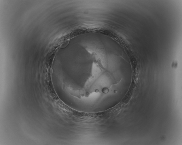 X0000113050917200908271527