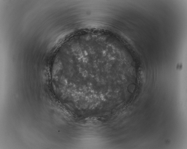 X0000113050918200908271527