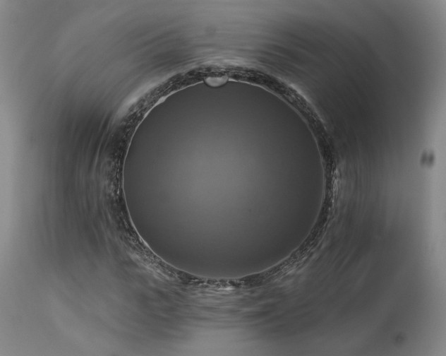 X0000113050919200908271527