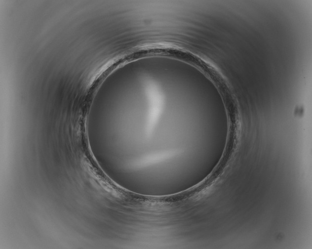 X0000113050921200908271527