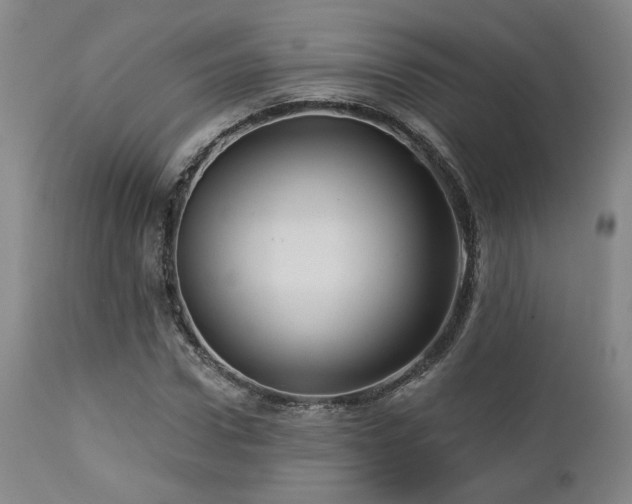 X0000113050922200908271527