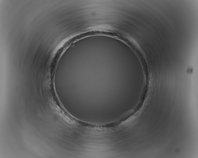 X0000113050923200908271527