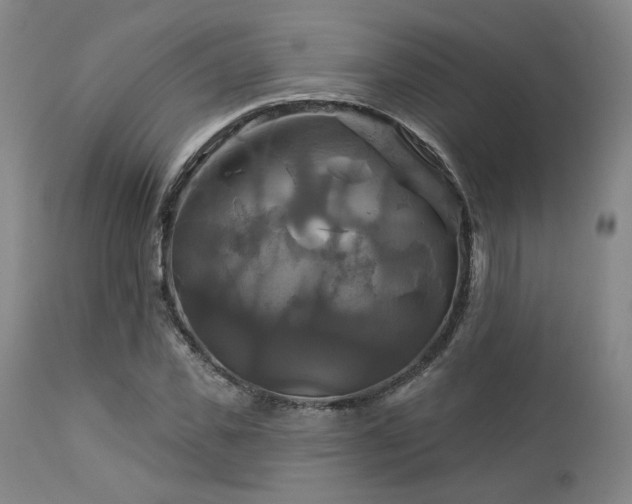 X0000113050925200908271527