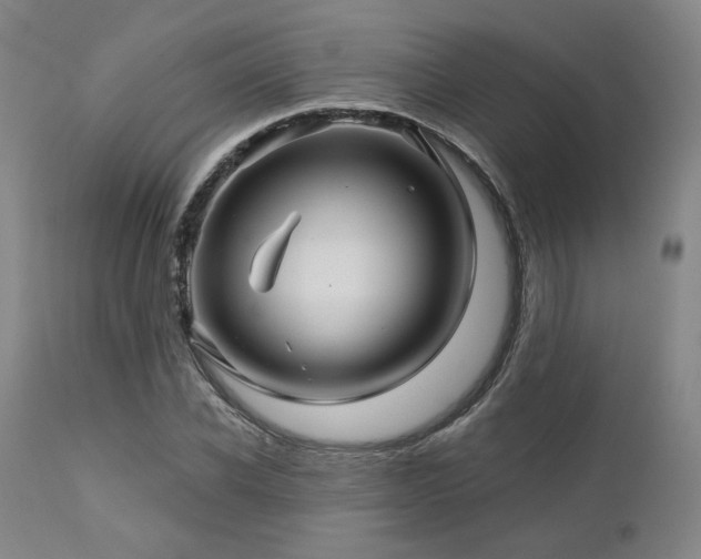 X0000113050926200908271527