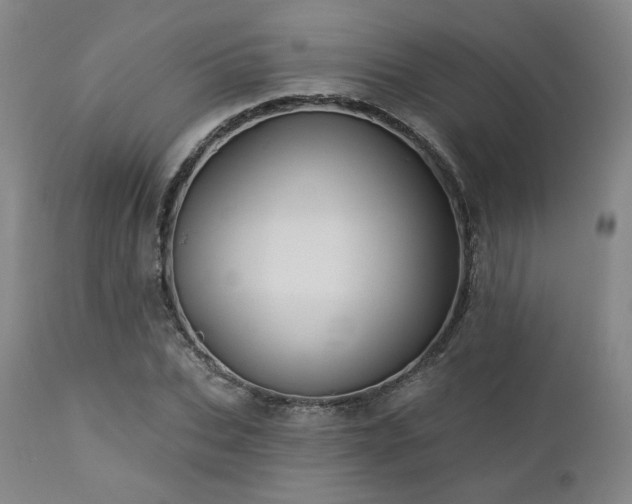 X0000113050927200908271527