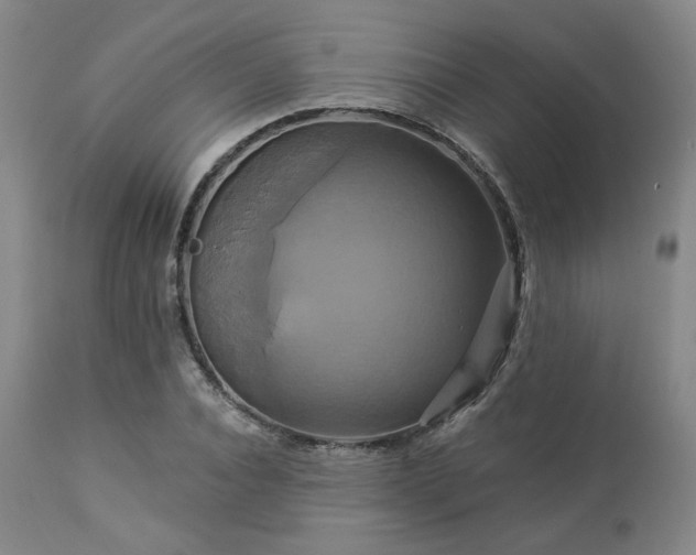 X0000113050928200908271527