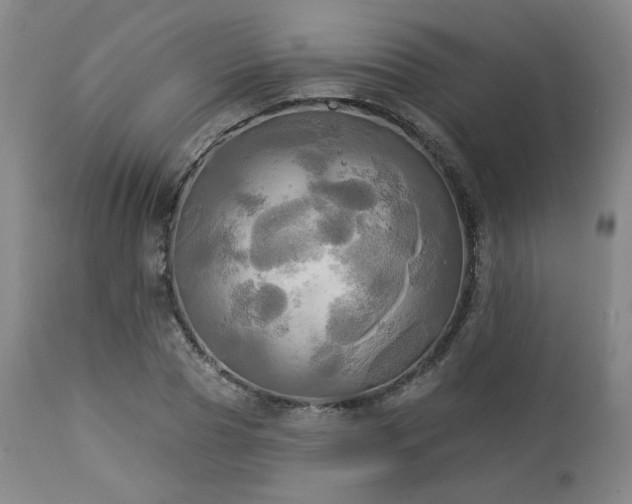 X0000113050929200908271527