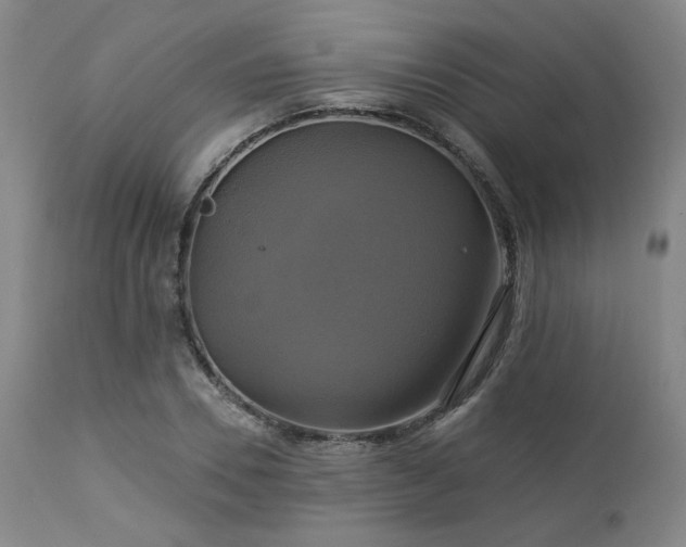 X0000113050930200908271527