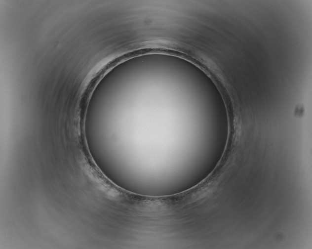 X0000113050931200908271527