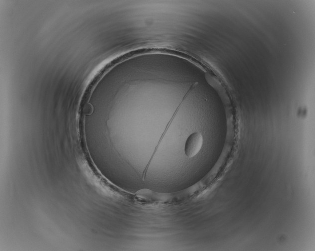 X0000113050932200908271527
