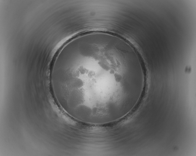 X0000113050933200908271527