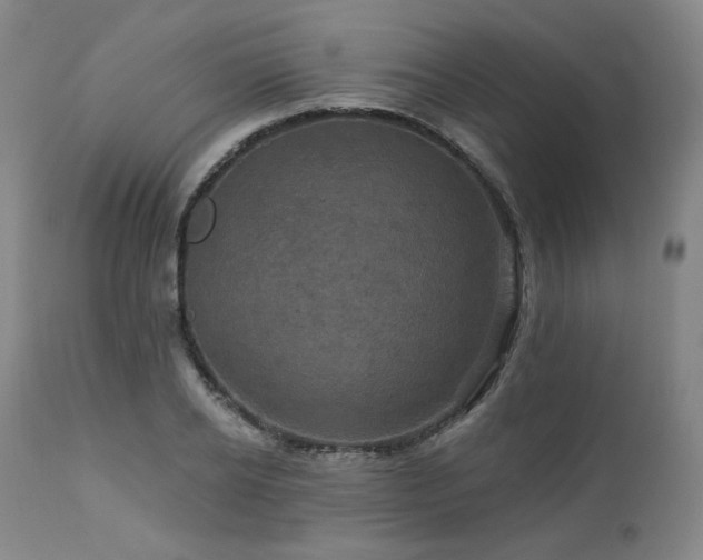 X0000113050934200908271527