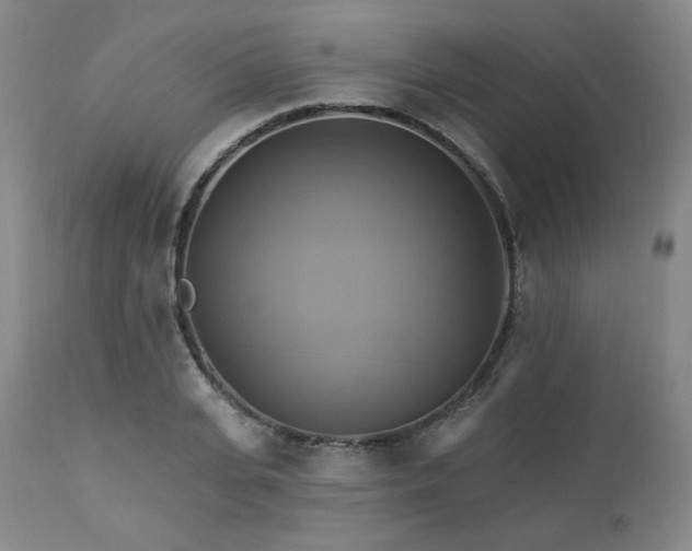 X0000113050935200908271527